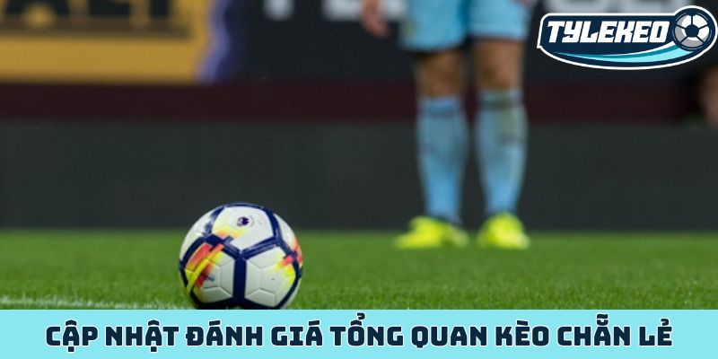 Cập nhật đánh giá tổng quan kèo chẵn lẻ