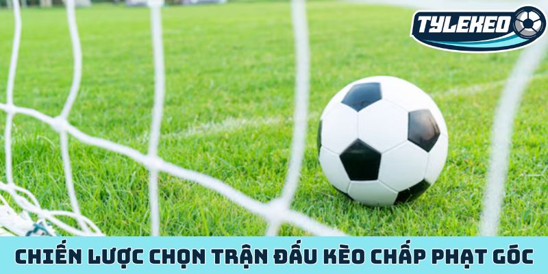 Giải mã kèo chấp phạt góc - Chiến lược cá cược sành sỏi nhất 4 Chiến lược chọn trận đấu kèo chấp phạt góc