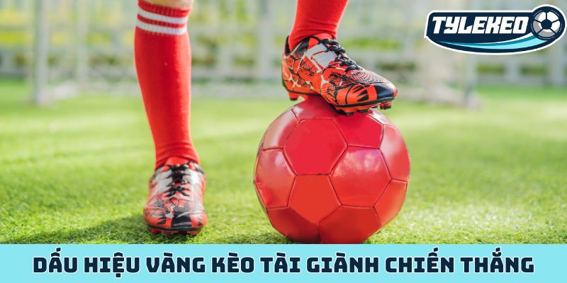 Kèo tổng số bàn thắng - Chiến lược làm giàu từ kèo Tài Xỉu 3 Dấu hiệu vàng kèo tài giành chiến thắng