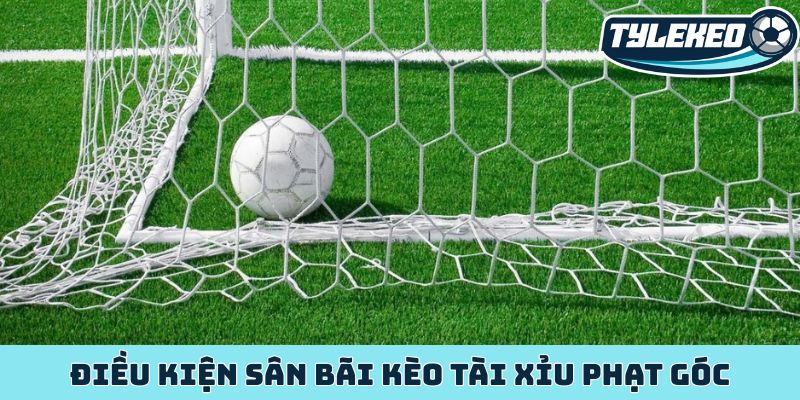 Kèo tài xỉu phạt góc kho báu ẩn giấu trong từng quả phạt 2 Điều kiện sân bãi kèo tài xỉu phạt góc