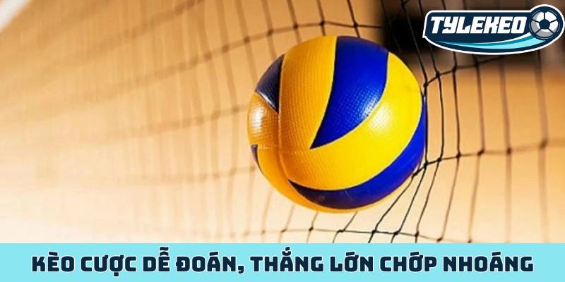 Kèo cược dễ đoán, thắng lớn chớp nhoáng
