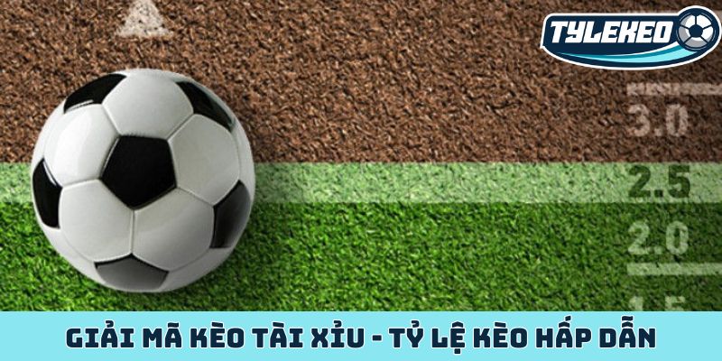 Giải mã kèo tài xỉu - Tỷ lệ kèo hấp dẫn không thể bỏ qua 1 kèo tài xỉu