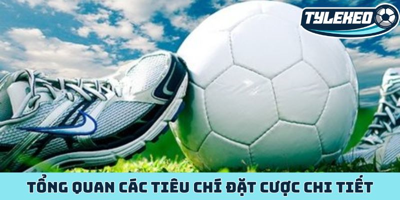Tổng quan các tiêu chí đặt cược chi tiết