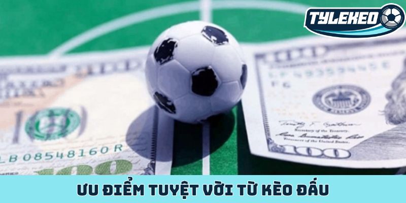 Ưu điểm tuyệt vời từ kèo đấu